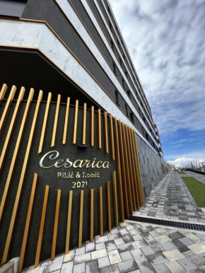 Cesarica Apartment